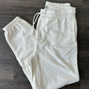 Aritzia Joggers
